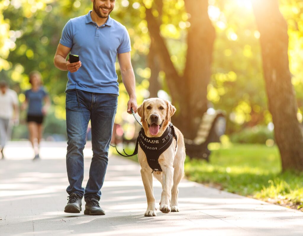 E-Collar Technologies